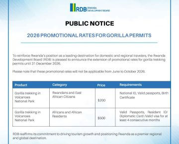 Book Gorilla Permit Rwanda