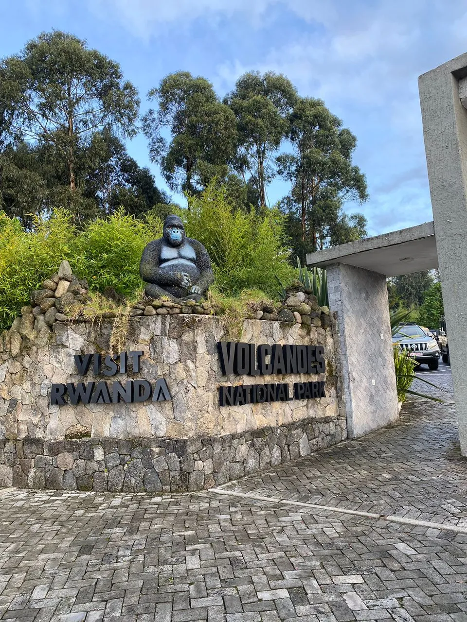 Gorilla Trek Rwanda