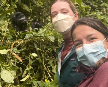 Gorilla Trekking Rwanda Price