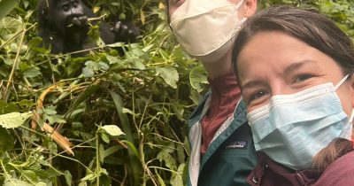 Gorilla Trekking Rwanda Price