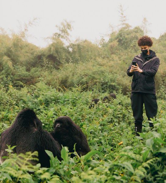 Difficult Gorilla Trekking Rwanda