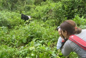 Rwanda Gorilla Trekking Photographers