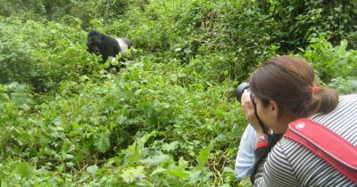 Rwanda Gorilla Trekking Photographers
