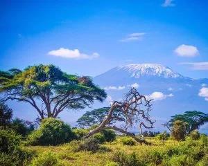 Uganda Kenya Safaris with Native Africa