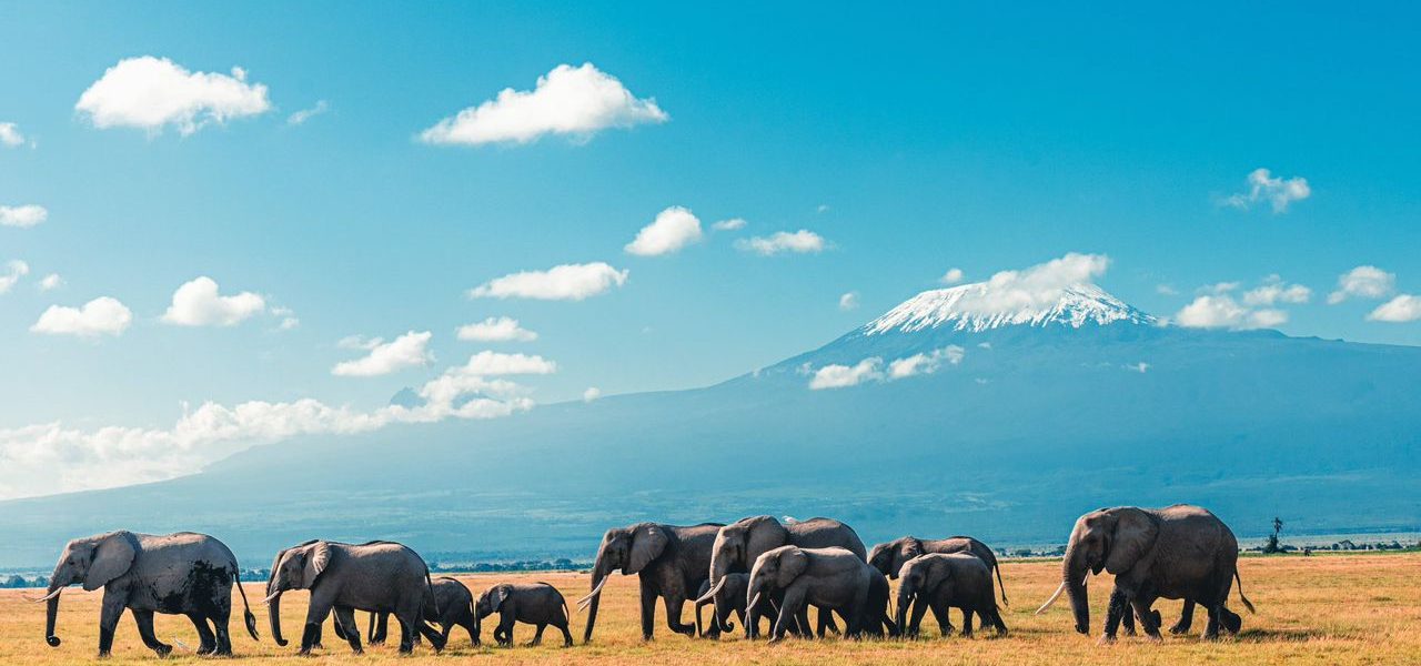 Uganda Kenya Safaris with Native Africa Tours