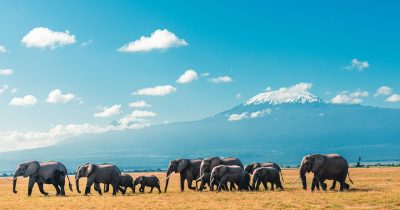 Uganda Kenya Safaris with Native Africa Tours