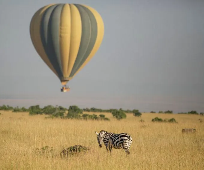 Kenya and Tanzania Safari by Native Africa Tours