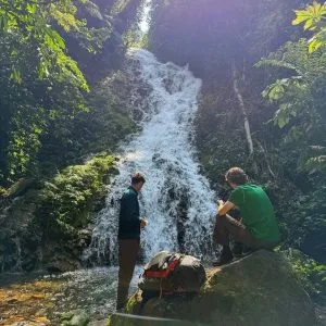 Guided Forest Walks in Bwindi Impenetrable National Park with Native Africa Tours