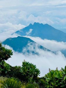 Hiking Tours to Sabinyo Mountain offered by Native Africa Tours