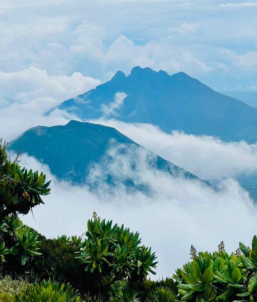 Hiking Tours to Sabinyo Mountain offered by Native Africa Tours