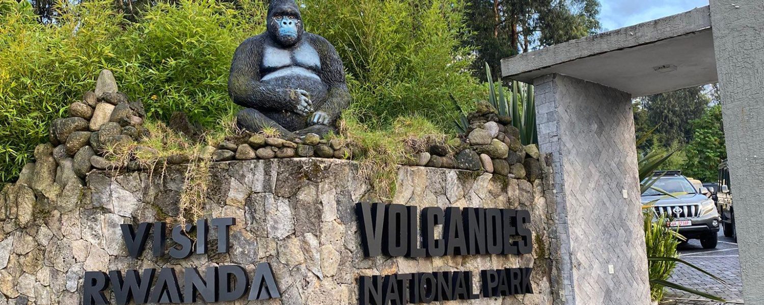 Head office for Rwanda Gorilla Trekking. You can choose a habituated Gorilla family of your choice here to Trek