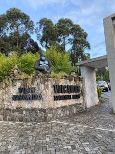 Head office for Rwanda Gorilla Trekking. You can choose a habituated Gorilla family of your choice here to Trek