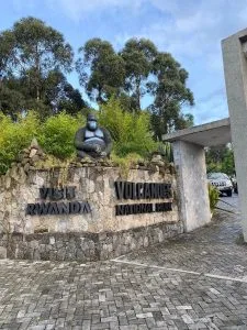 Head office for Rwanda Gorilla Trekking. You can choose a habituated Gorilla family of your choice here to Trek
