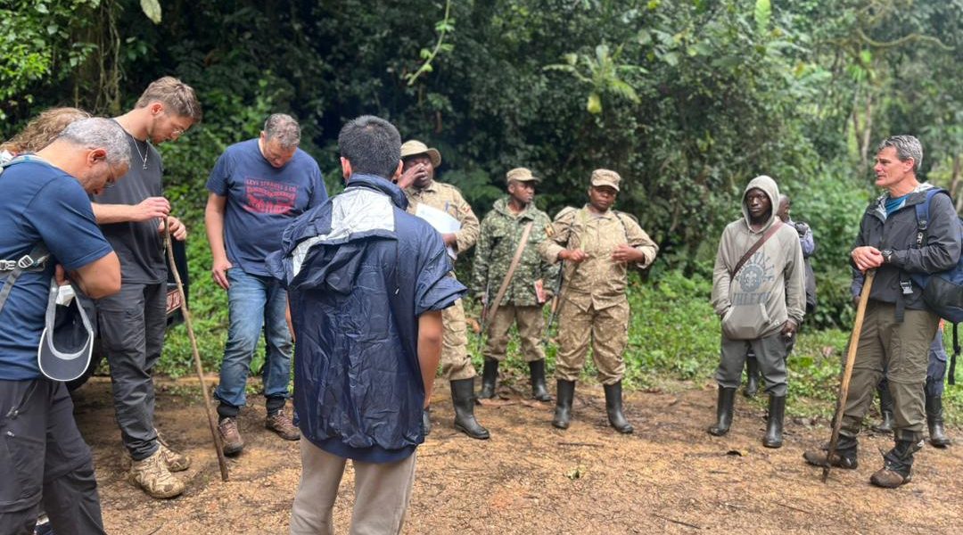 Fitness Level Gorilla Trekking Rwanda