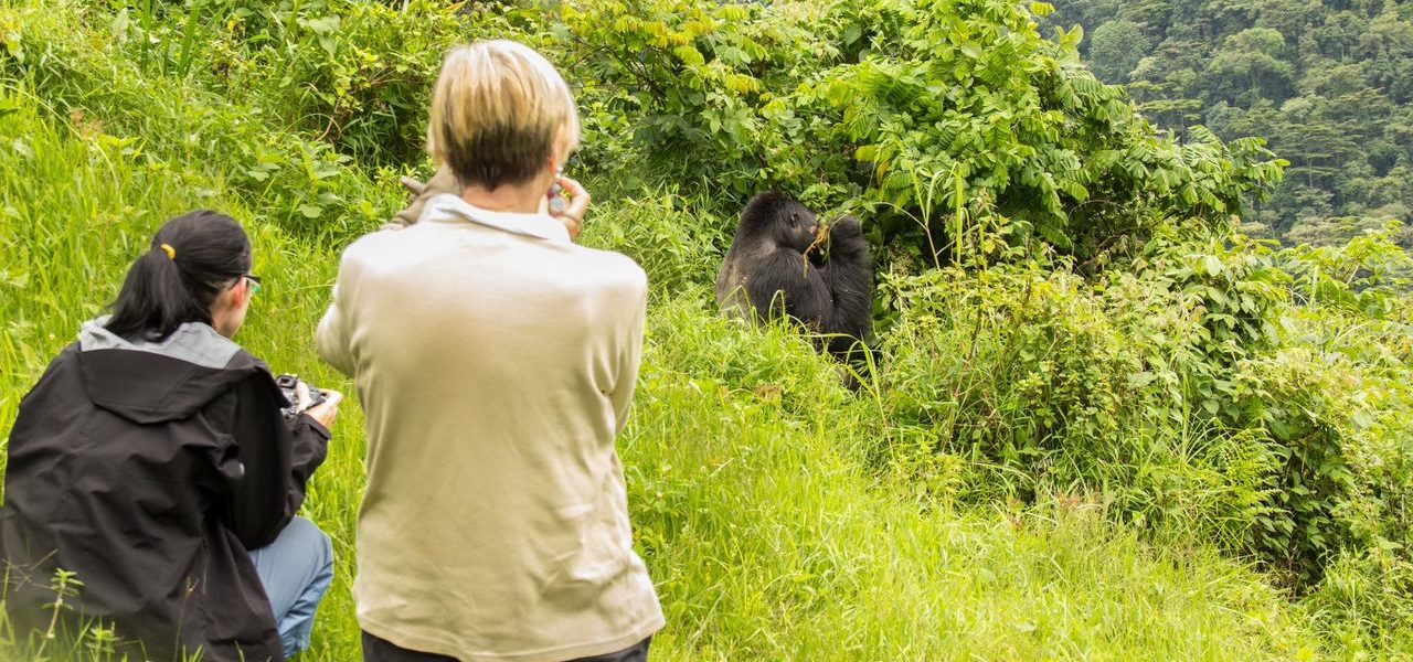 Guests on a Gorilla Habituation Experience in Bwindi With Native Africa Tours