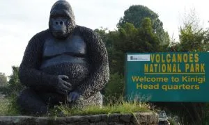 Volcanoes National Park Main Entrance where they do Registration of Gorilla Trekking Permits and Age of the Guests