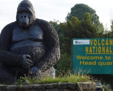 Volcanoes National Park Main Entrance where they do Registration of Gorilla Trekking Permits and Age of the Guests