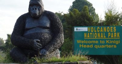 Volcanoes National Park Main Entrance where they do Registration of Gorilla Trekking Permits and Age of the Guests