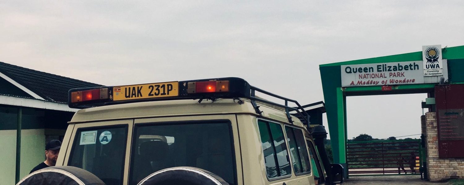 Top gorilla safari company in Uganda offering guided gorilla trekking tours