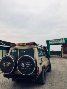 Top gorilla safari company in Uganda offering guided gorilla trekking tours