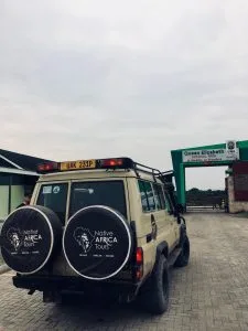 Top gorilla safari company in Uganda offering guided gorilla trekking tours