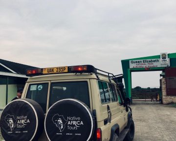 Top gorilla safari company in Uganda offering guided gorilla trekking tours