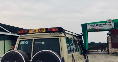 Top gorilla safari company in Uganda offering guided gorilla trekking tours