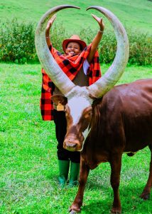 Bigogwe cows tour in Rwanda with Ankole long horn cattle and cultural experience