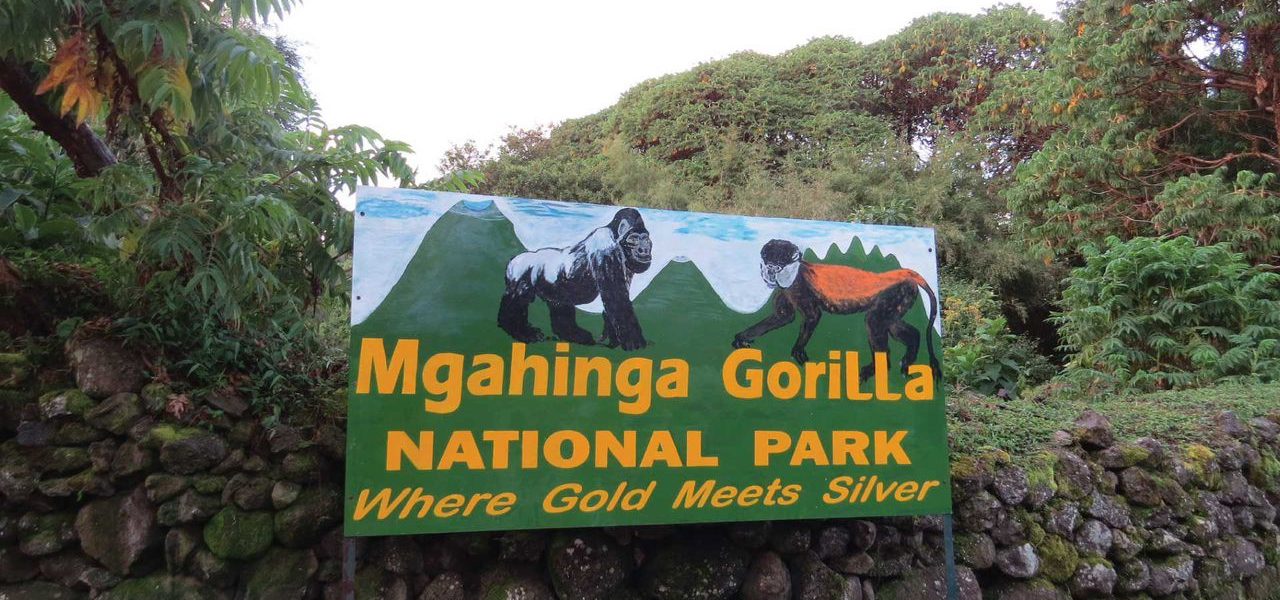 Gorilla trekking tours to Mgahinga National Park entrance sign in Uganda