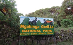 Gorilla trekking tours to Mgahinga National Park entrance sign in Uganda