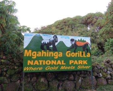 Gorilla trekking tours to Mgahinga National Park entrance sign in Uganda