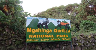 Gorilla trekking tours to Mgahinga National Park entrance sign in Uganda
