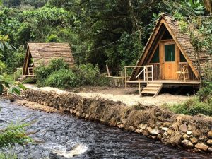 Cyinzobe Trail in Nyungwe National Park riverside cabins and rainforest scenery