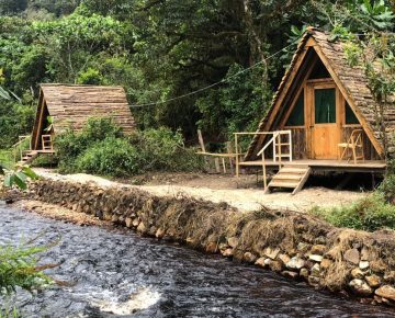 Cyinzobe Trail in Nyungwe National Park riverside cabins and rainforest scenery