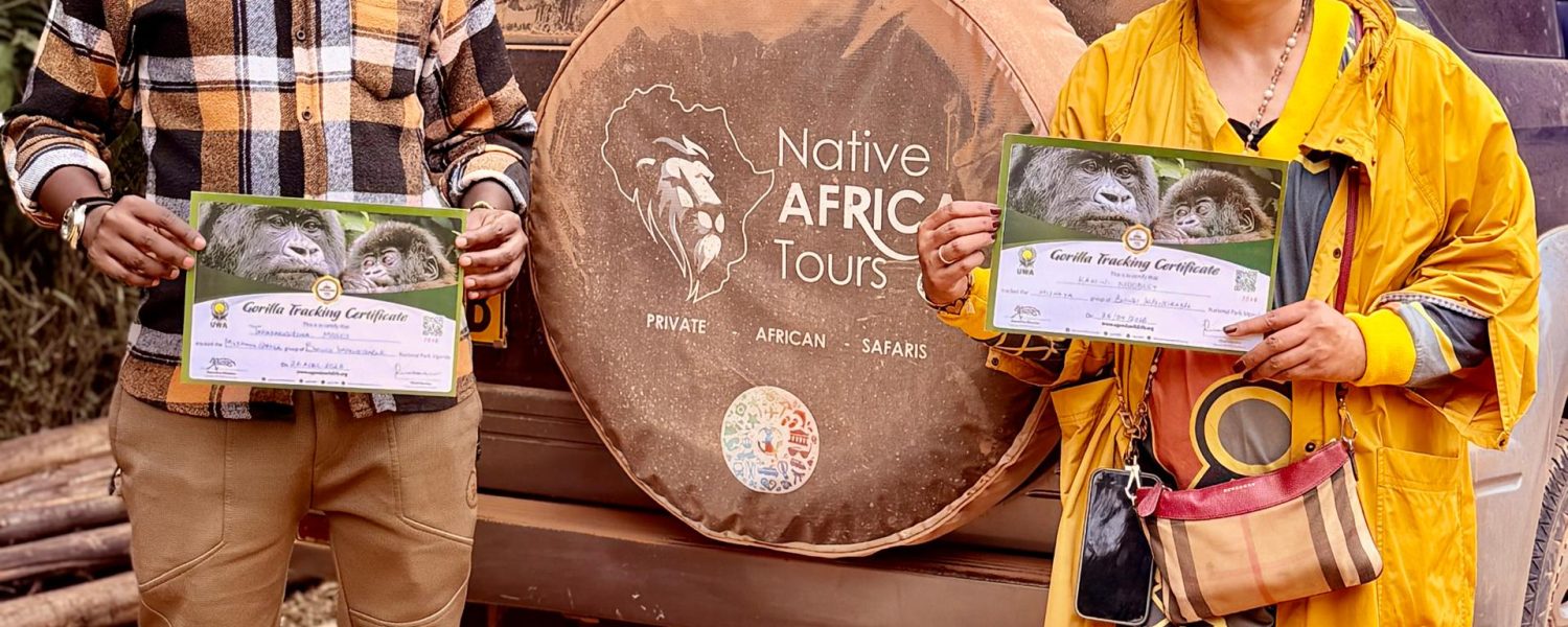 Gorilla trekking Rwanda Uganda experience in Bwindi and Volcanoes National Park