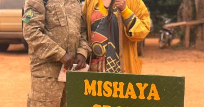 Why the low season is the best time for gorilla trekking in Bwindi lush rainforest scenery