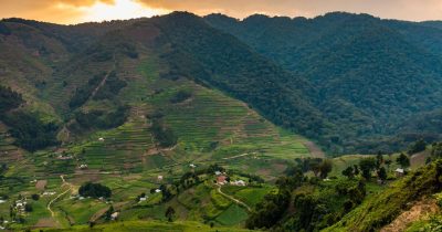 Altitude for gorilla trekking in Uganda steep forest trails in Bwindi