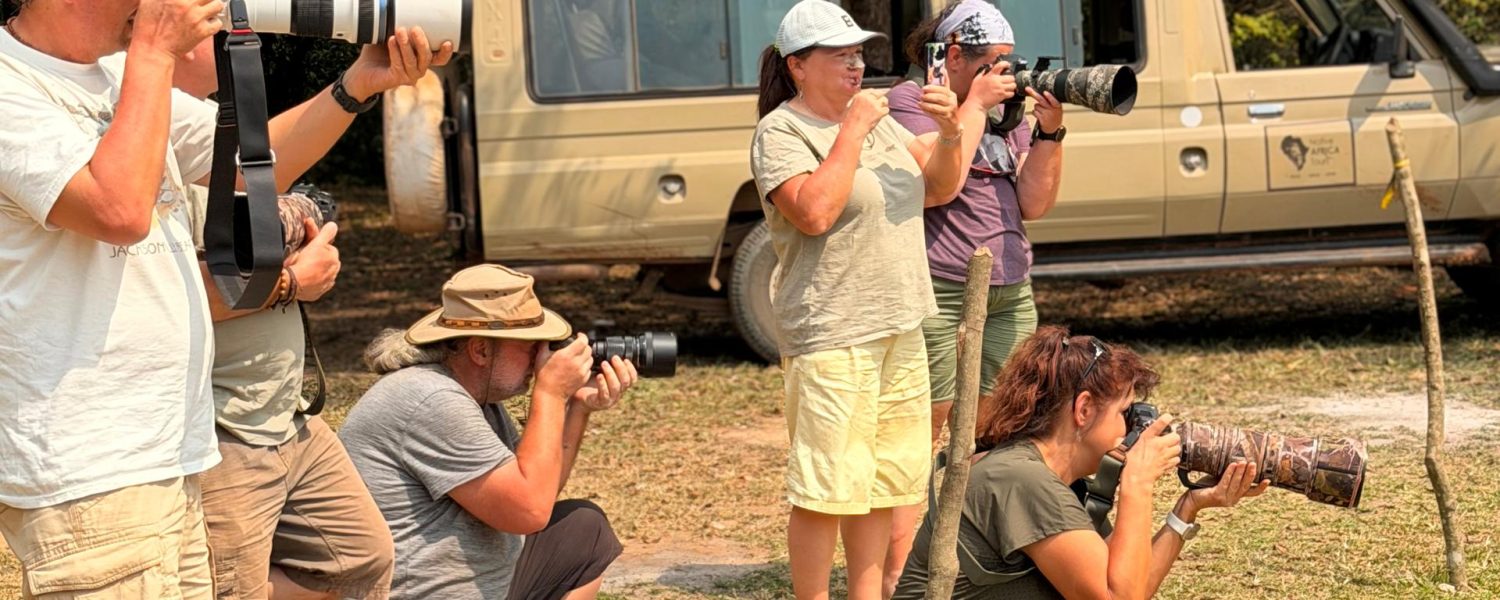 Big Five photography safaris in Uganda capturing elephants and buffaloes