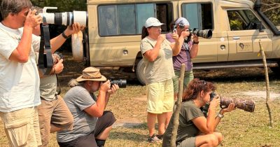 Big Five photography safaris in Uganda capturing elephants and buffaloes
