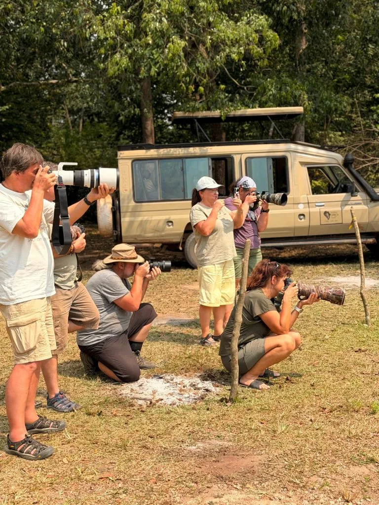 Big Five photography safaris in Uganda capturing elephants and buffaloes