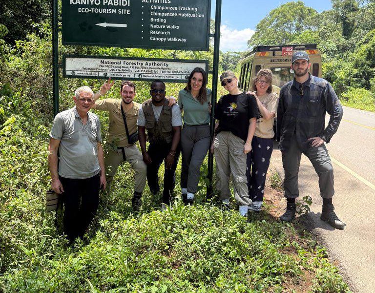New chimpanzee permit prices for Budongo Forest chimp trekking experience