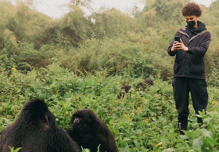 Gorilla trekking in Rwanda during peak season tourists tracking gorillas