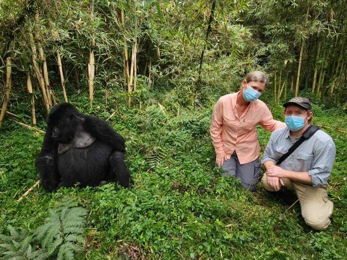 An American Tourist Couple on a Mid range Gorilla trekking expedition in Bwindi with Native Africa Tours.