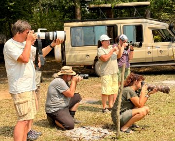Guests taking a photo of a Hippo while on a Birding and Wildlife safari with Native Africa Tours