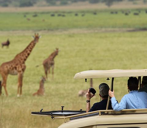 A Family Group on a Safari drive in Akagera National Park With Native Africa Tours