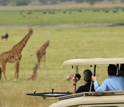 5 Days Rwanda Family Safari