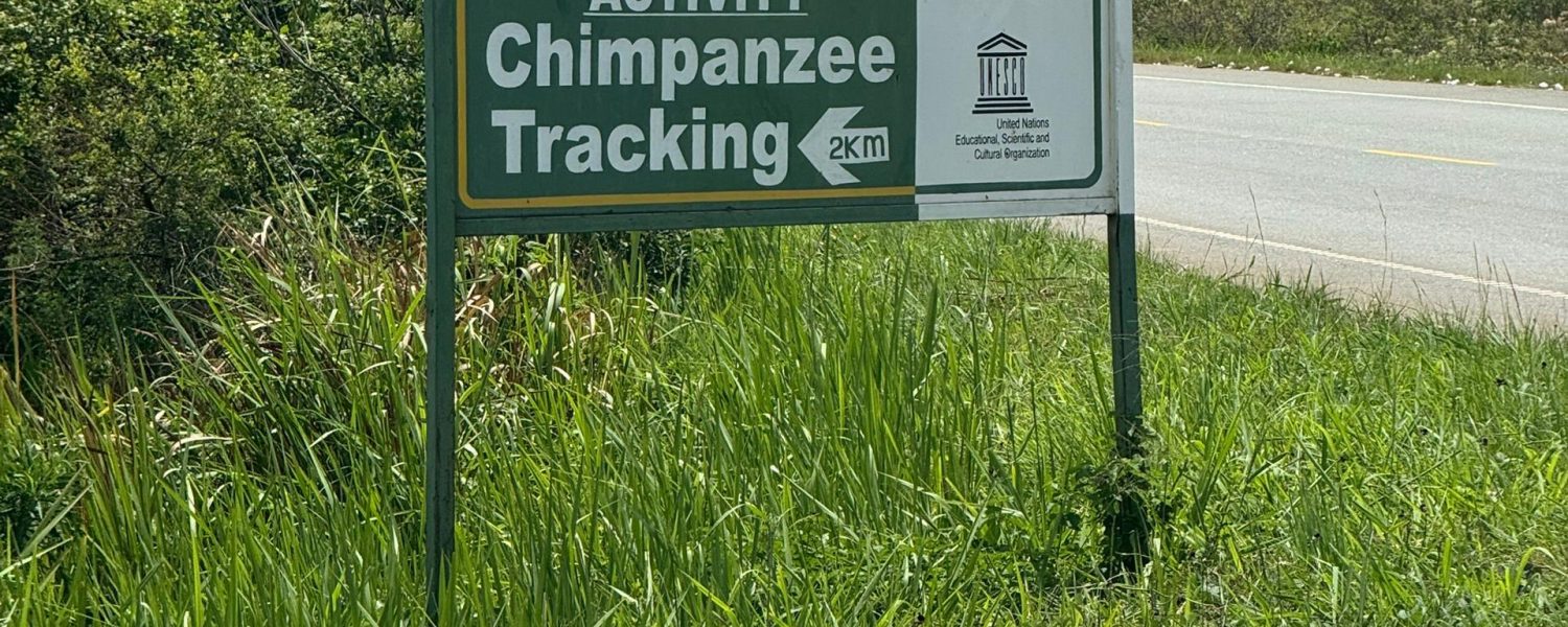 7 Days Kyambura and Budongo Chimps safari