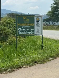 7 Days Kyambura and Budongo Chimps safari