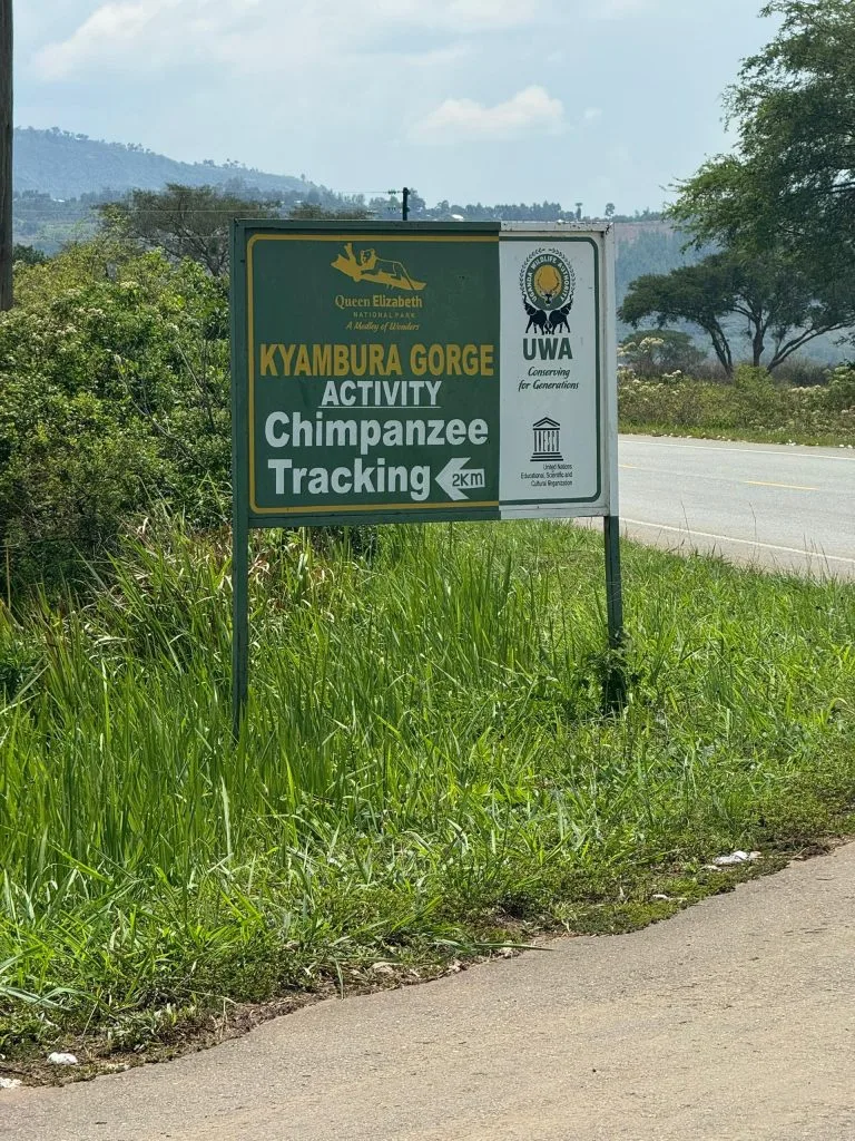 7 Days Kyambura and Budongo Chimps safari