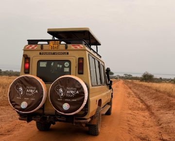 13 Days Rafting Primate Tracking Safari